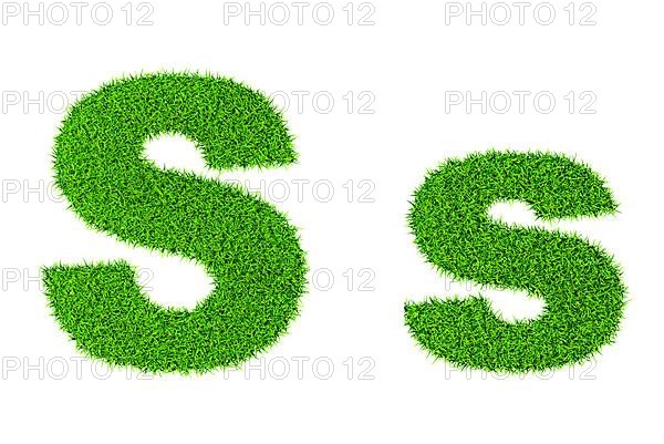 Grass letter S