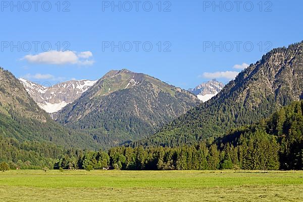 View from the Loretto meadows to the hay harvest and to the mountain Riefenkopf 1748m