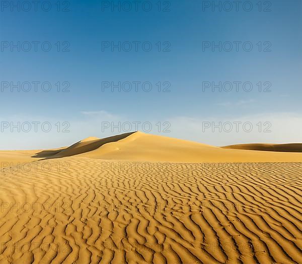 Dunes of Thar Desert. Sam Sand dunes