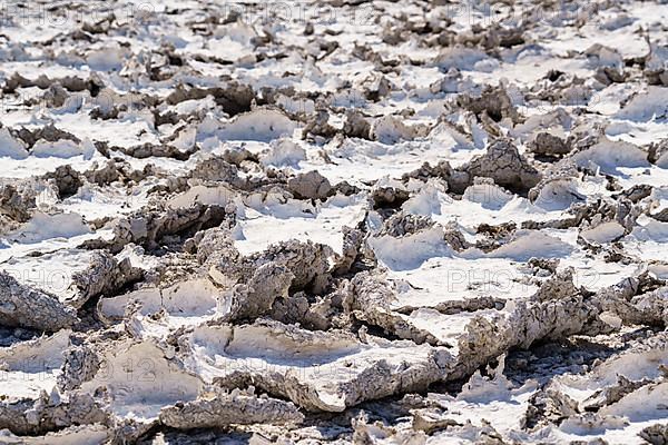 Dried mud patterns with cracks on the ground. Etosha National Park