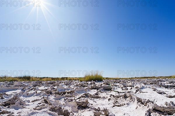 Sunrays shine on drought mud patterns