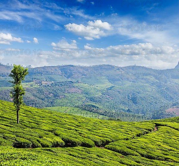 Kerala India travel background