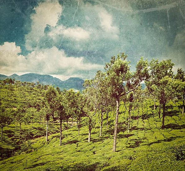 Vintage retro hipster style travel image of Kerala India travel background