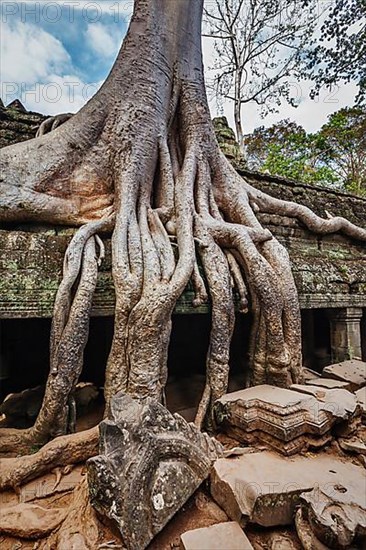 Travel Cambodia concept background