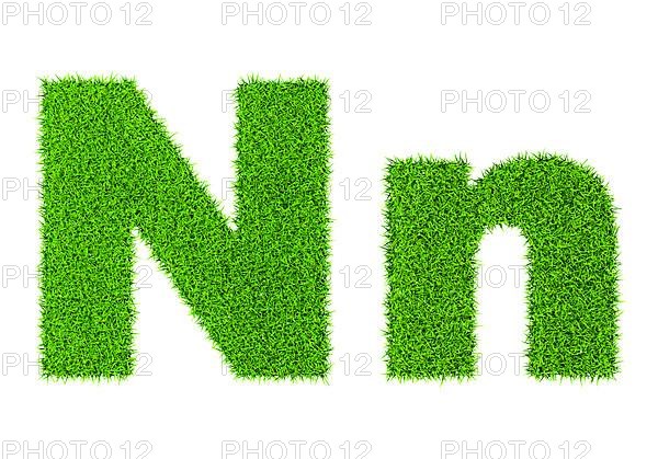 Grass letter N