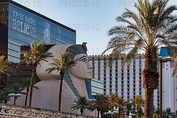 Sphinx and palm trees at the Luxor Hotel