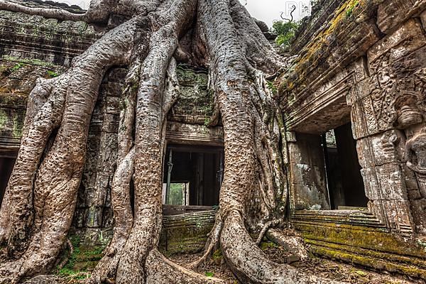 Travel Cambodia concept background