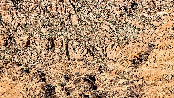 Sandstone rock face sculpted by wind and water