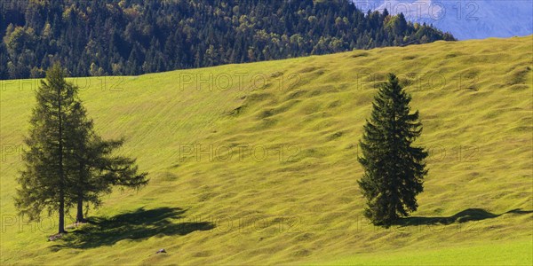 Buckelwiesen between Mittenwald and Kruen