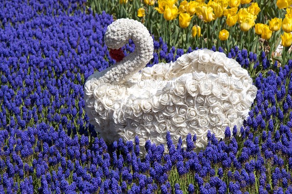 Swan figure made of flowers in the spring flower garden