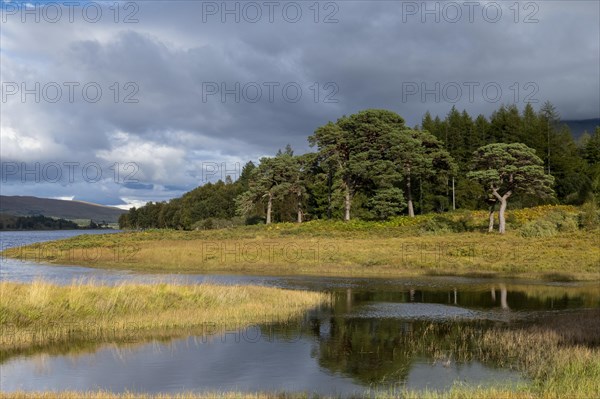 Loch Tulla