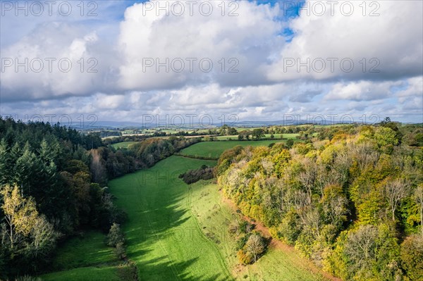 Forests and Farms over Berry Pomeroy