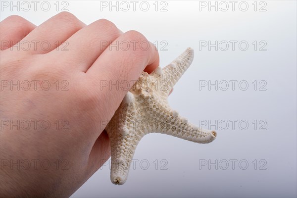 Hand holding starfish in water covered with foam