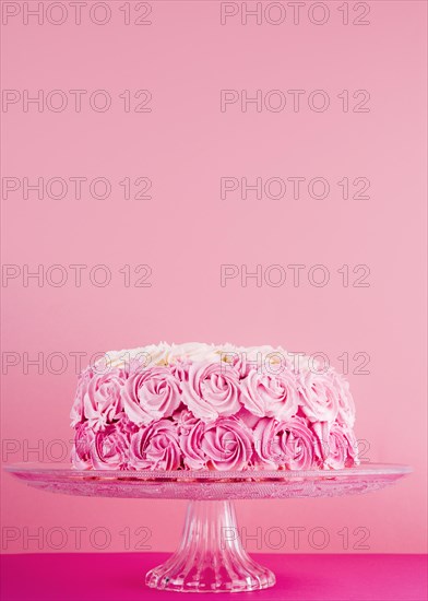 Delicious pink cake with roses