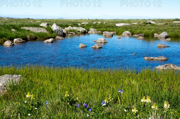 Highland lake in green natural background in Artvin province of Turkey