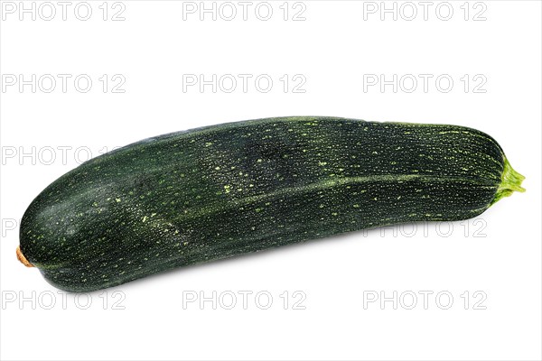 Fresh marrow squash isolated on white background