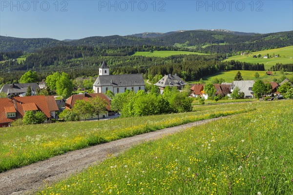 View over Breitnau to the Feldberg in spring