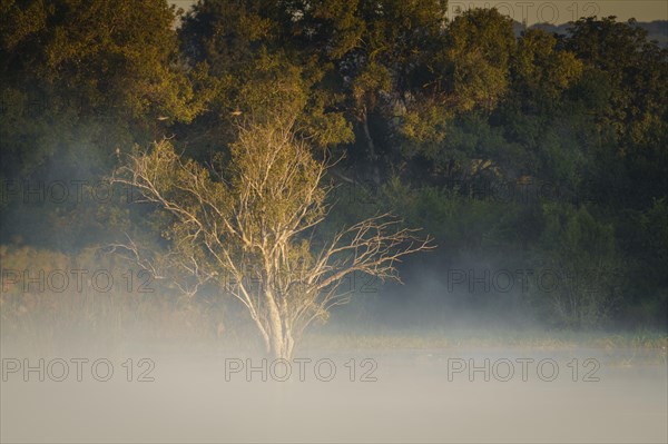 Fog rises from the water