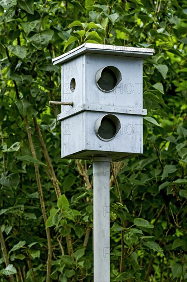 Dummy speed camera as a deterrent