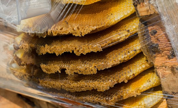 Sweet fresh honey in the sealed comb frame