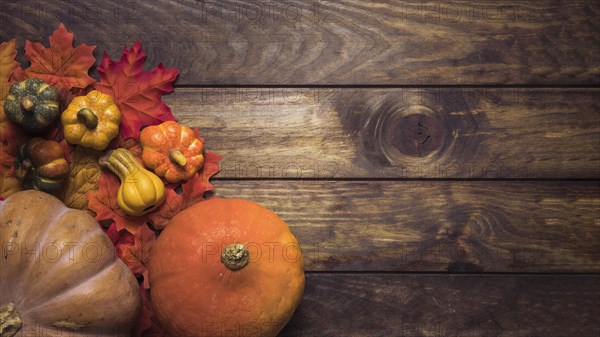 Composition ripe pumpkins autumn leaves