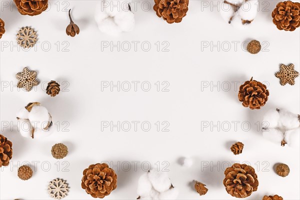 Winter arrangement with fir cones