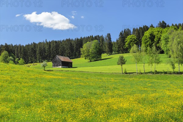 Spring landscape near Schwaerzenbach