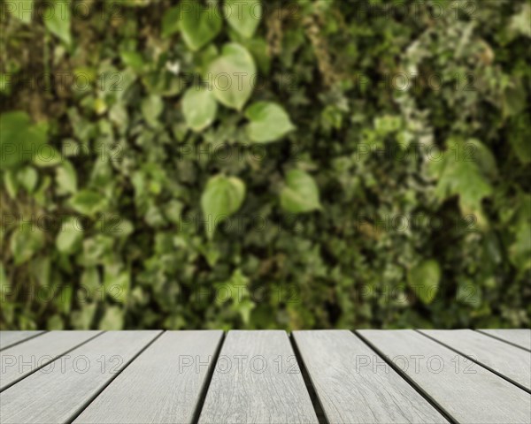 Table surface looking out blurred green leaves. Resolution and high quality beautiful photo