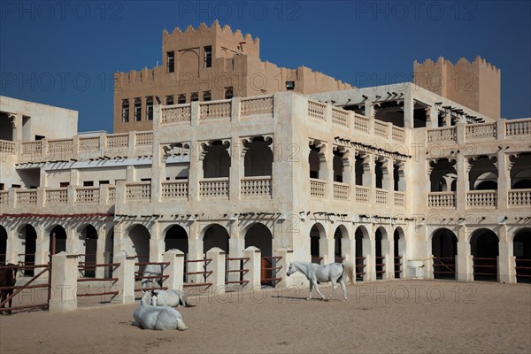 Arabian horse breeding stables in Al Jasra
