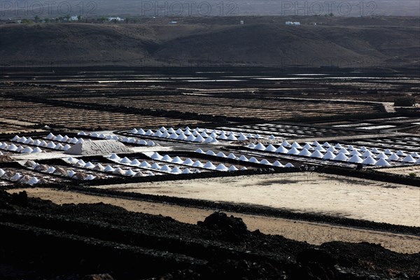 The Salinas de Janubio