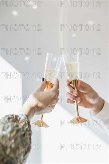 Toasting with champagne new year party. Resolution and high quality beautiful photo