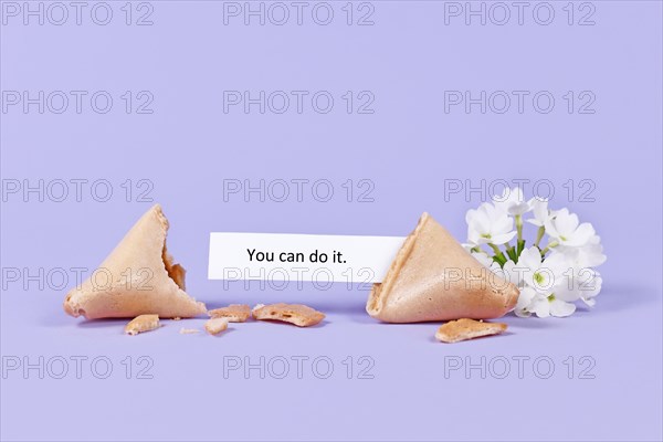 Motivational text in fortune cookie saying 'You can do it' on purple background with flower