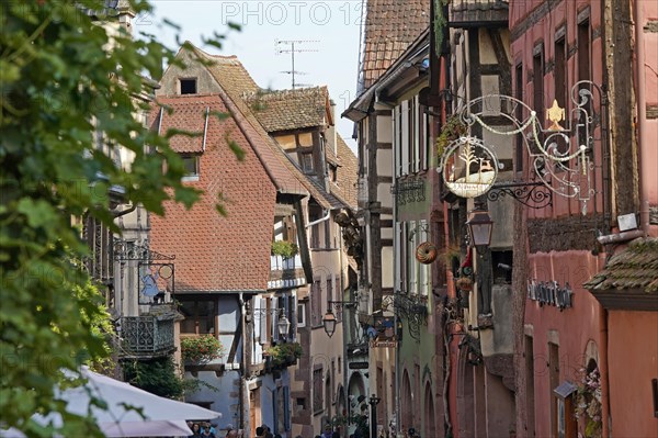 Colourful half-timbered houses in the historic old town of Riquewihr