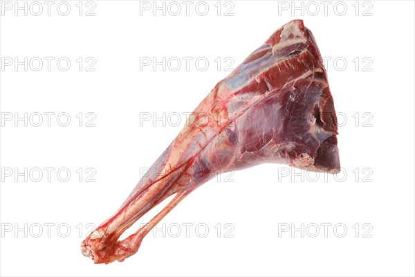 Raw fresh young beef leg isolated on white background