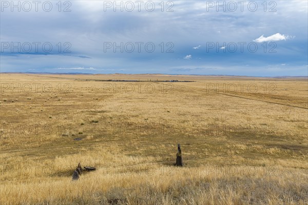 Steppe scenery