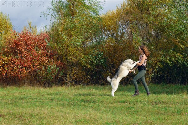 Girl playing with husky dog in city park. Jogging with dog