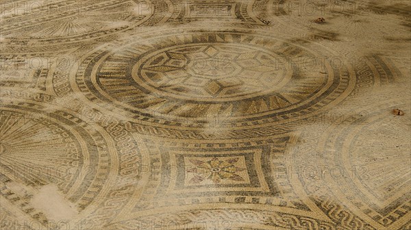 Roman floor mosaic