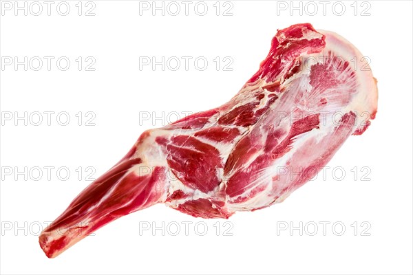 Raw fresh lamb leg bone in