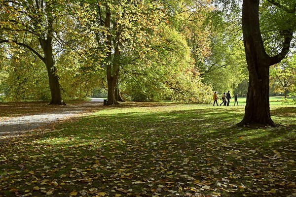 Deciduous trees in the Georgengarten