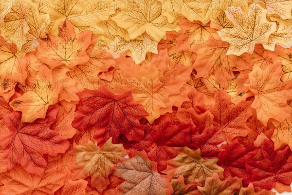 Flat lay fall leaves surface