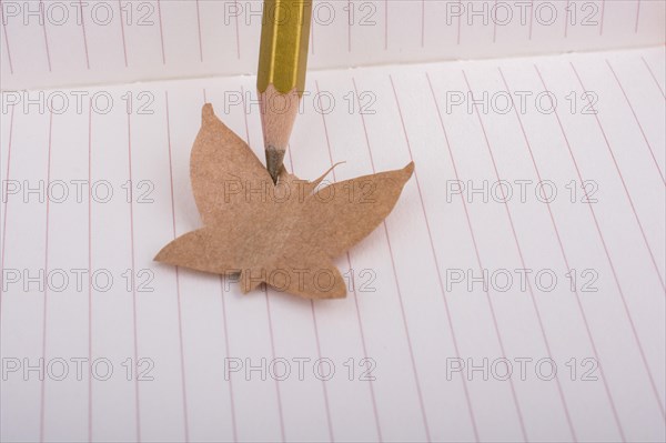 Paper is cut out in shape of a butterfly