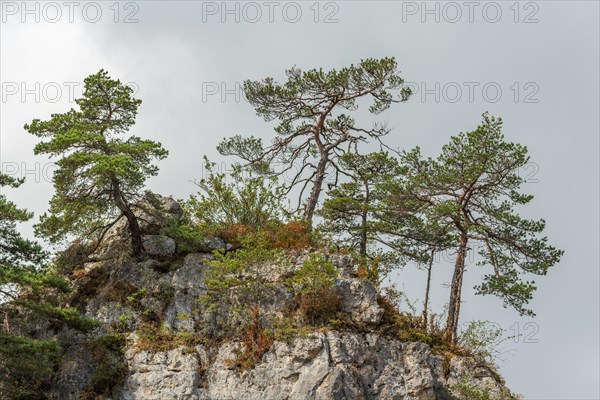 Wild landscape in Cevennes National Park