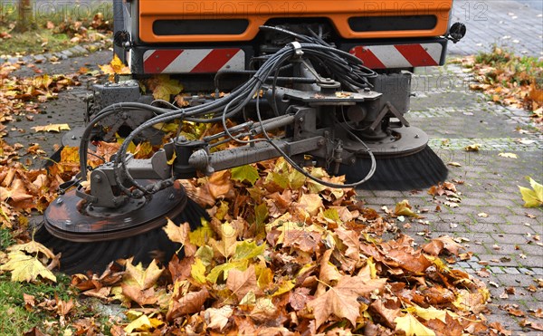 Sweeper sweeps up wilted leaves in autumn