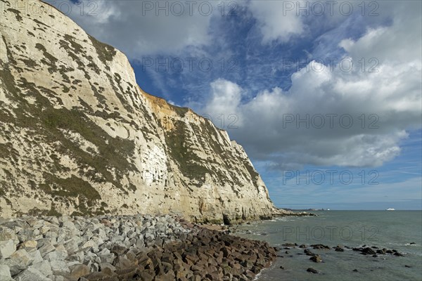 Chalk cliffs