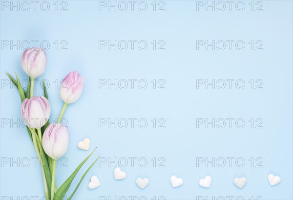 Tulip flowers with small hearts. Resolution and high quality beautiful photo