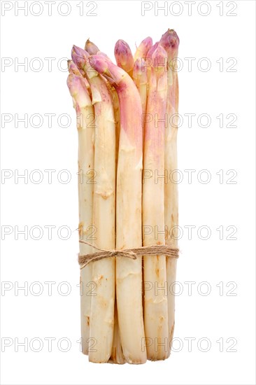 Bunch of asparagus stalks isolated on white background