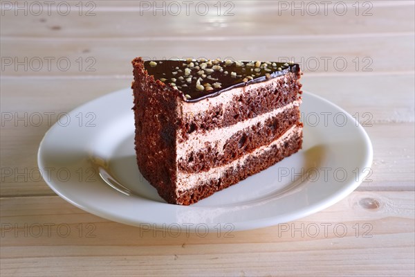 Layered chocolate cake. Biscuit dough with cream