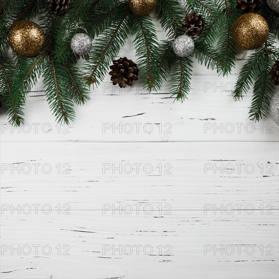 Christmas composition green fir tree branches