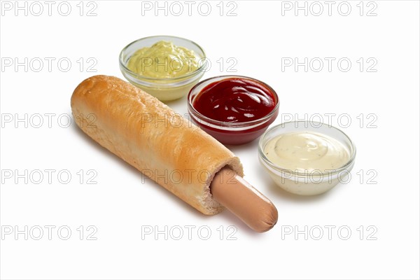 Layout for menu. Hot dog sandwich with sauce