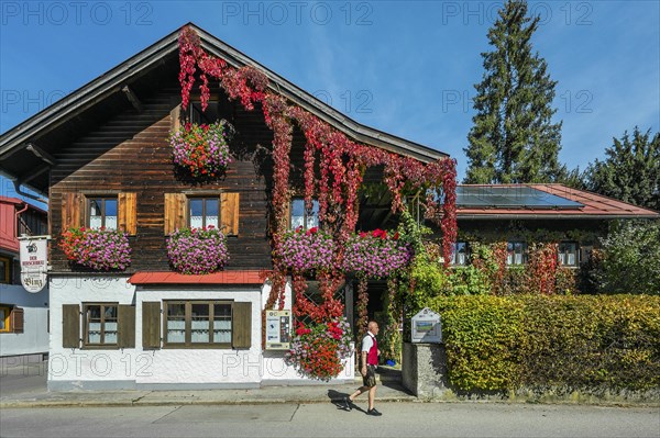 Wooden house with floral decoration and vegetation of widem vine